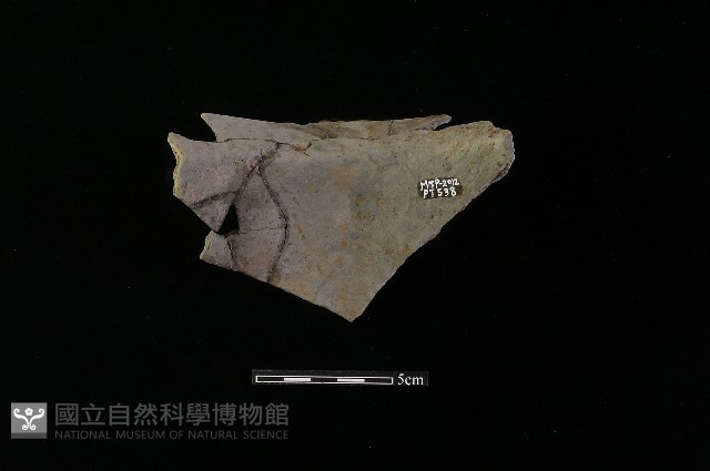陶罐藏品圖，第1張