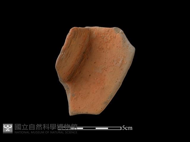 連杯形器藏品圖，第2張