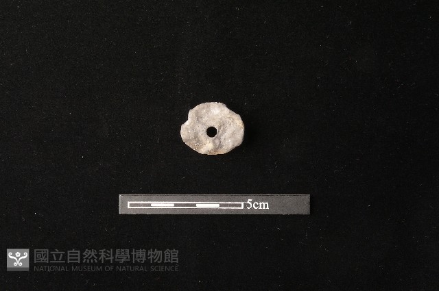 紡輪藏品圖，第3張