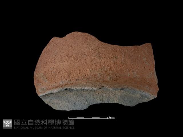 陶片藏品圖，第2張