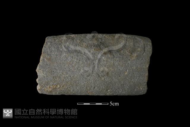 石杵藏品圖，第2張