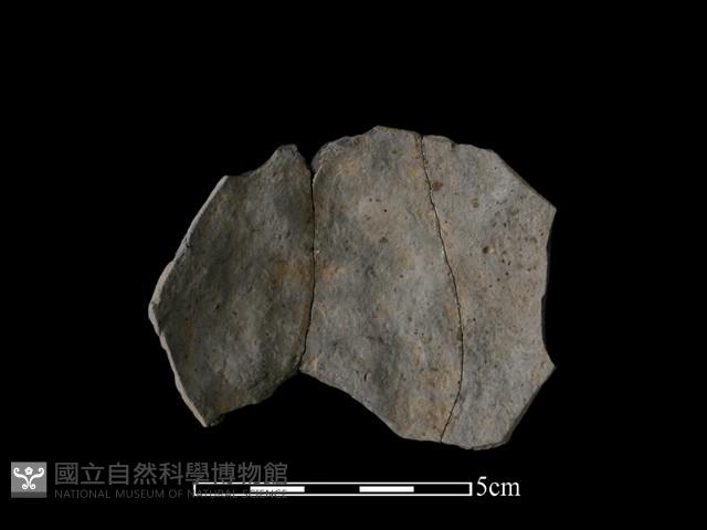 陶片藏品圖，第1張