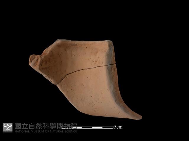 陶片藏品圖，第1張