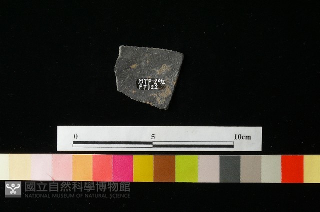 陶片藏品圖，第1張