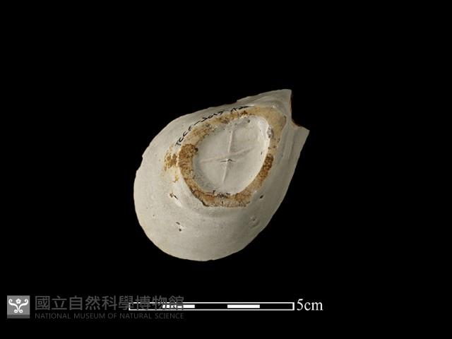 湯匙藏品圖，第1張