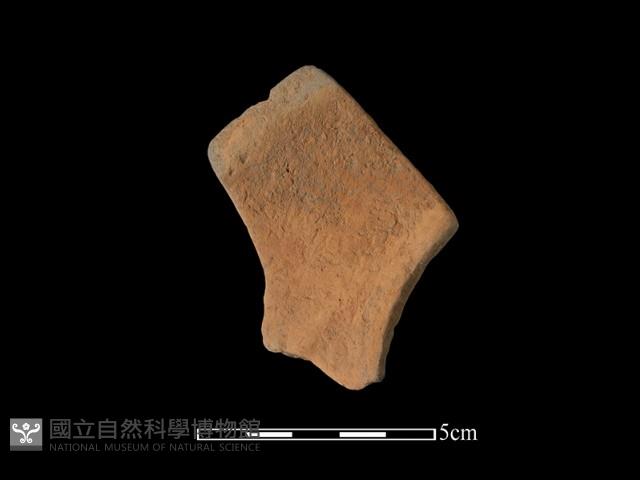 Accession Number:TC273-2018-202 Collection Image, Figure 1, Total 2 Figures