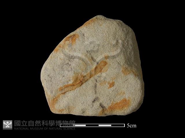 砥石藏品圖，第2張