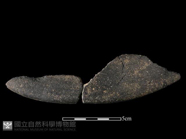 Accession Number:NSKII-2017-502 Collection Image, Figure 1, Total 2 Figures