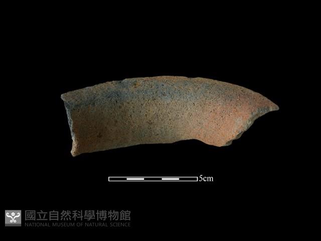 陶罐藏品圖，第2張