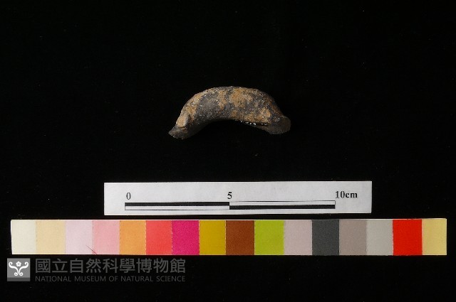 陶把藏品圖，第2張