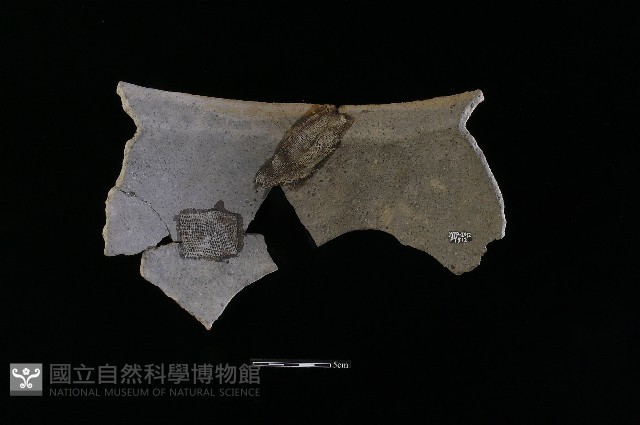 陶罐藏品圖，第2張