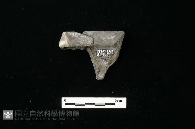陶罐藏品圖，第1張