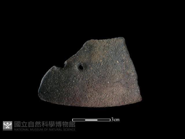 陶片藏品圖，第2張