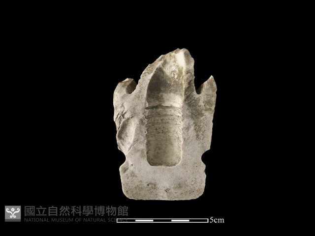 礙子藏品圖，第1張