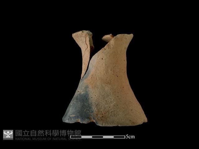 陶片藏品圖，第1張