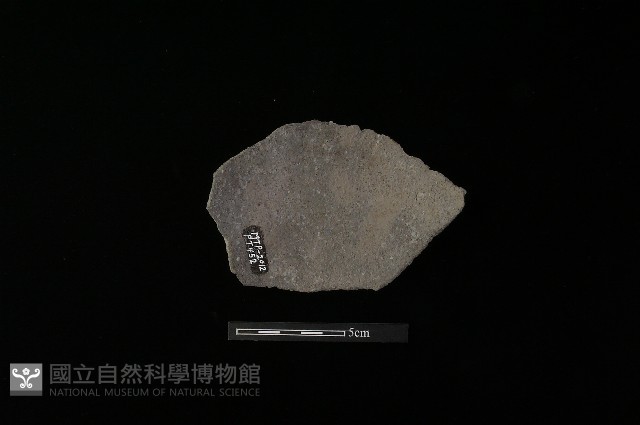 陶片藏品圖，第2張