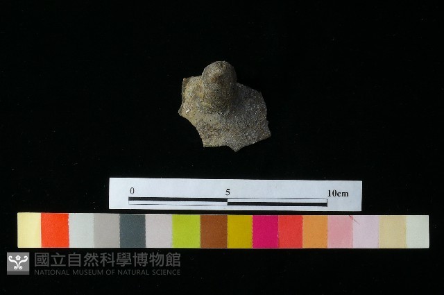 陶把藏品圖，第3張