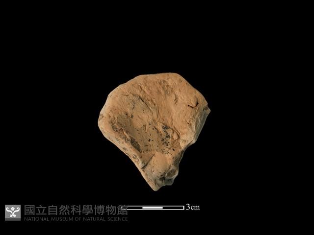 連杯形器藏品圖，第1張