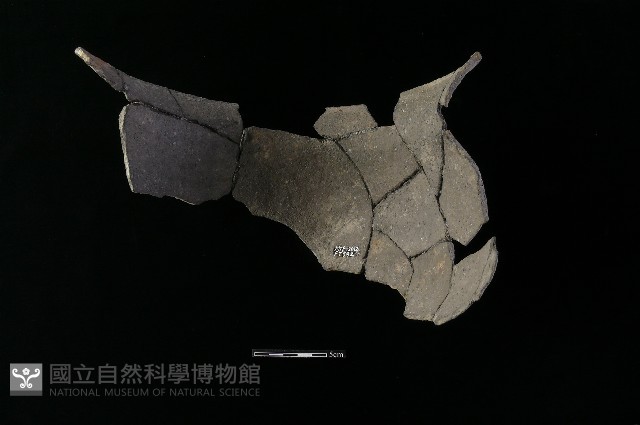 陶罐藏品圖，第1張