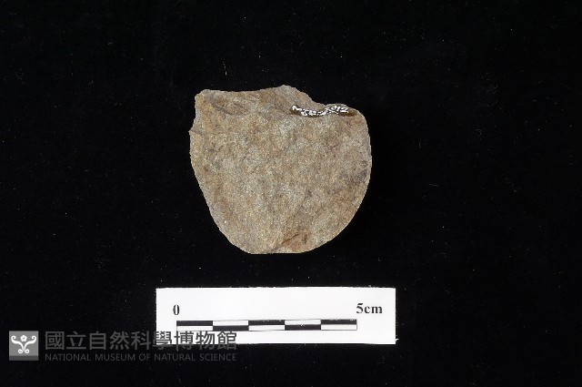 石片器藏品圖，第1張