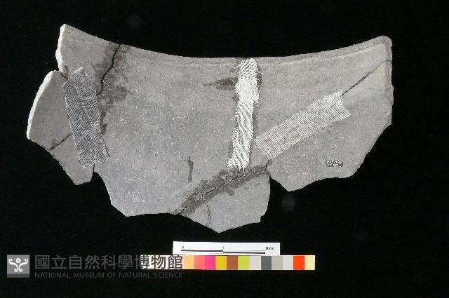 陶罐藏品圖，第3張