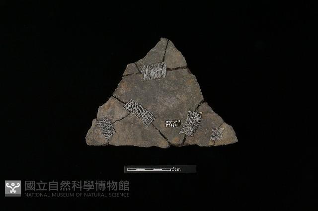 陶片藏品圖，第2張