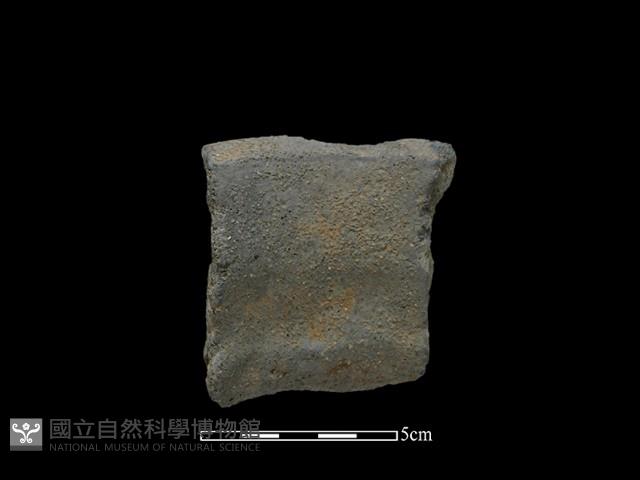 Accession Number:NSKII-2017-532 Collection Image, Figure 2, Total 2 Figures