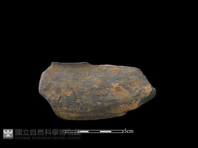 連杯形器藏品圖，第1張