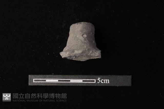 陶蓋鈕藏品圖，第3張