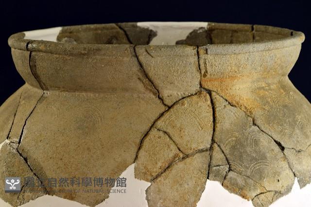 陶罐藏品圖，第12張