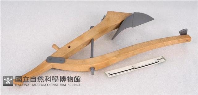 牛犁模型藏品圖，第1張