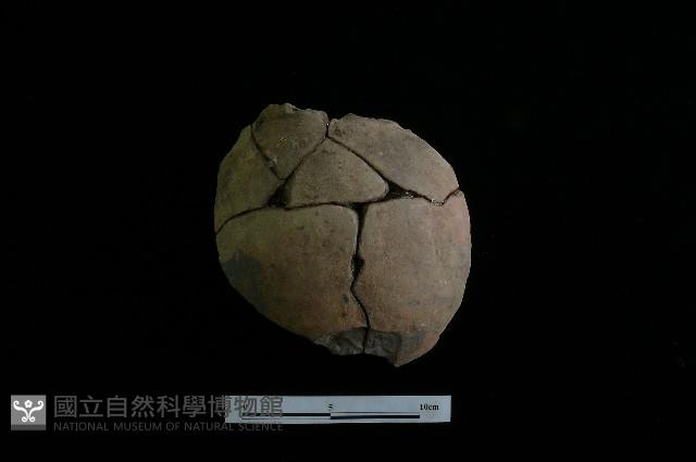 陶罐藏品圖，第2張