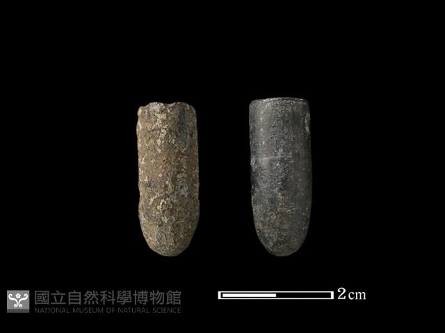 彈頭藏品圖，第1張