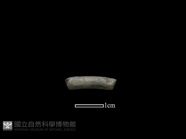 陶環藏品圖，第1張