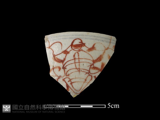 瓷片藏品圖，第1張