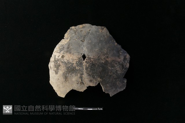 陶片藏品圖，第2張