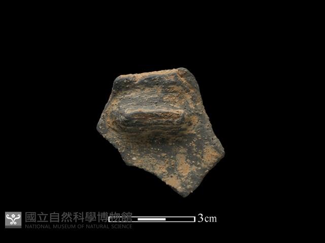 陶片藏品圖，第1張