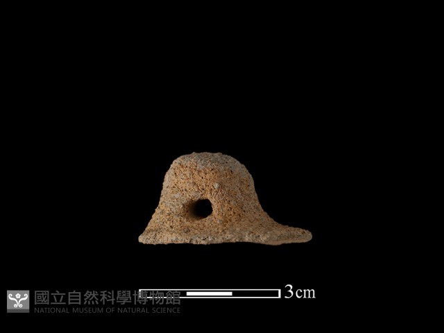 陶鈕藏品圖，第2張