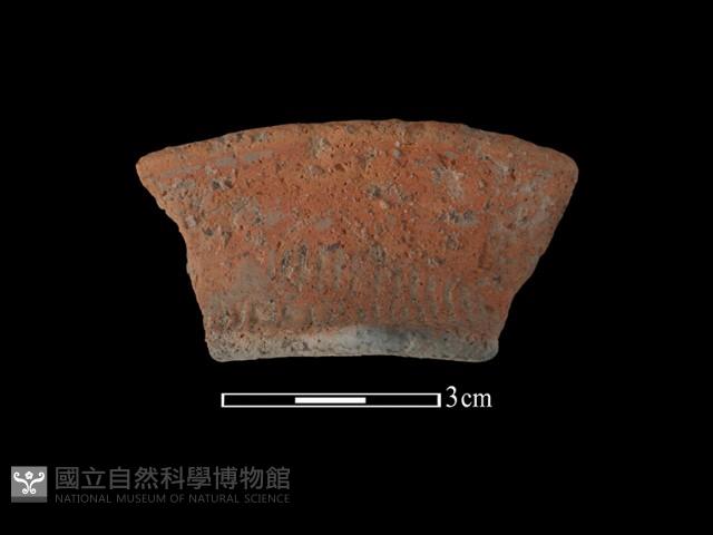 陶罐藏品圖，第1張