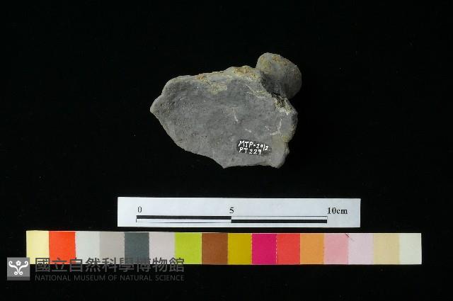 陶蓋藏品圖，第1張