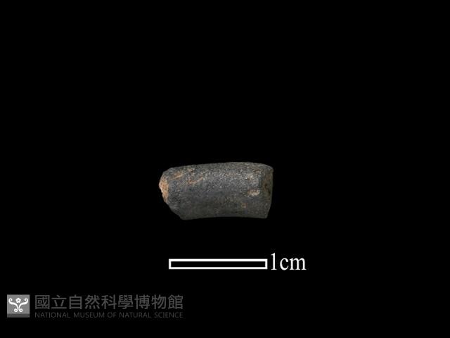 陶環藏品圖，第1張