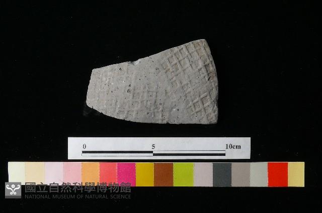 陶片藏品圖，第2張