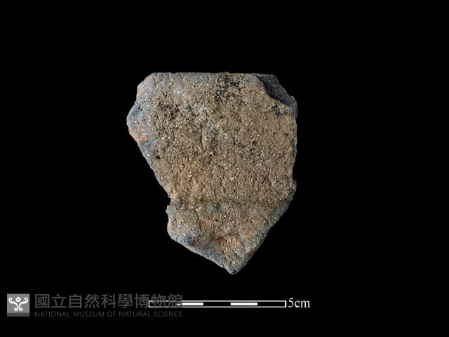 陶罐藏品圖，第1張