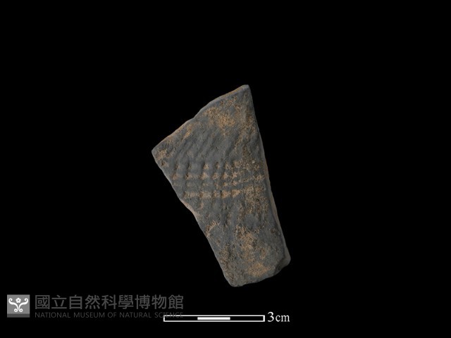 陶片藏品圖，第1張