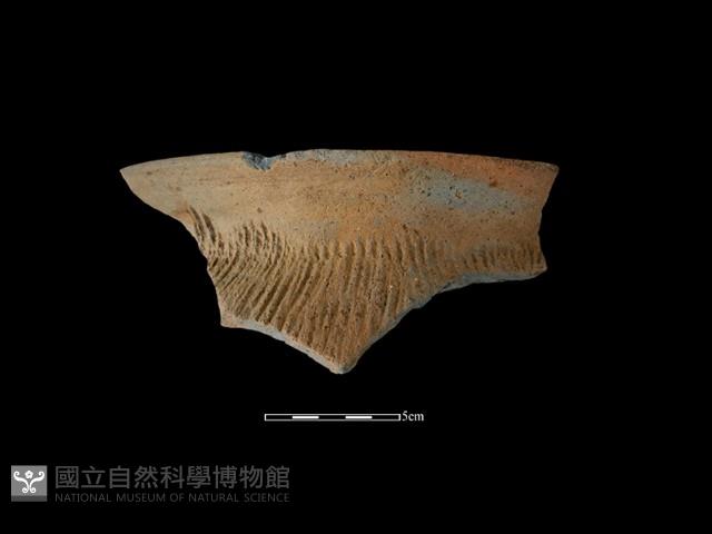 陶罐藏品圖，第2張