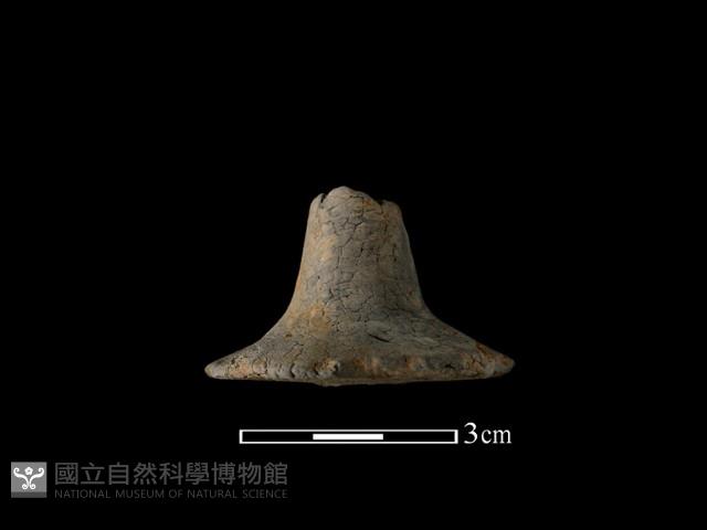 陶紡輪藏品圖，第2張