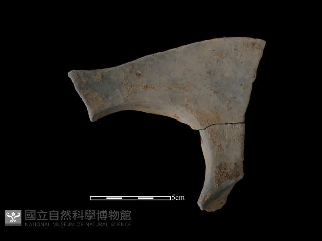 連杯形器藏品圖，第1張