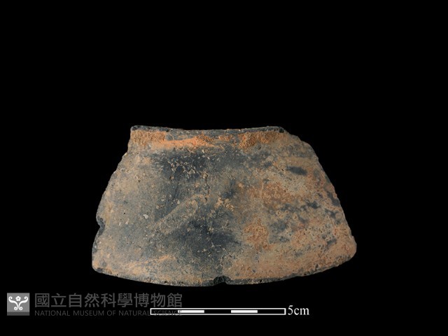 陶片藏品圖，第2張