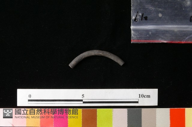 陶環藏品圖，第1張