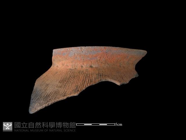 陶罐藏品圖，第1張